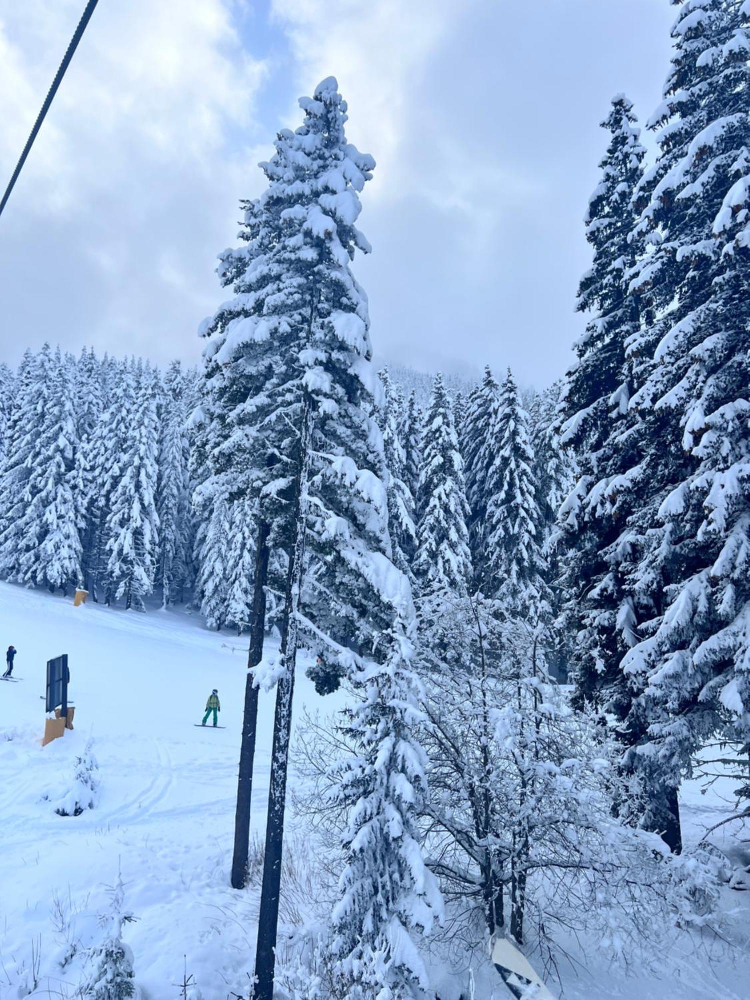 Dimitri Apartament Emerald , Near Gondola Bansko Exterior photo